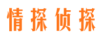 鄂城外遇出轨调查取证